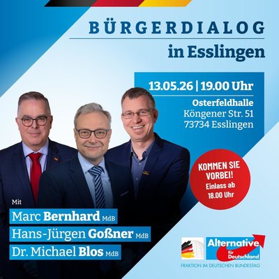 Event-Flyer Bürgerdialog der Landesgruppe der AfD-Bundestagsfraktion
